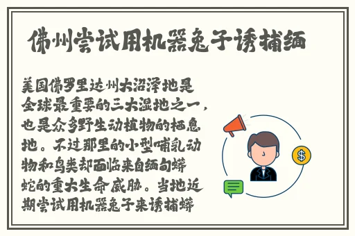 安卓春天免费版